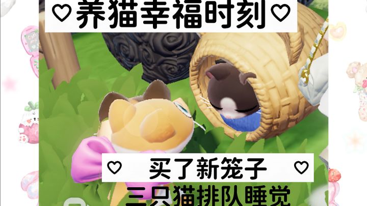 养猫幸福时刻 | 更新后猫咪动作多样化了截图