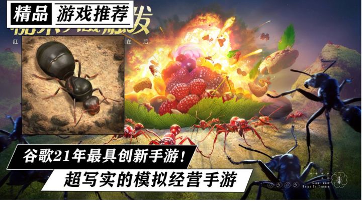 谷歌play最具创新的游戏!不一样的模拟经营!超写实画风!你见过让你当蚂蚁的游戏?!#小小蚁国 公测#截图