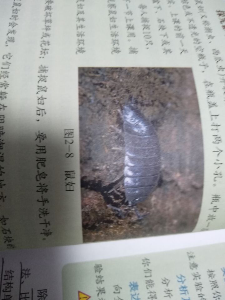 一位我家厨房被我妈发现差点扔进水里的小可爱截图