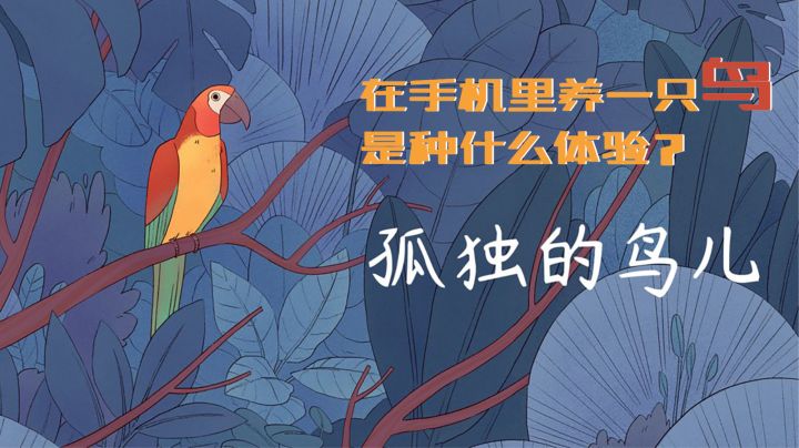 【最美单机画面游戏】系列4: 在手机里养一只鸟是种什么体验?截图