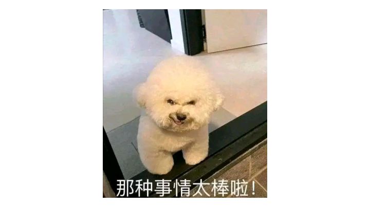 蜜蜂、艾魅和她们的怨种队友截图