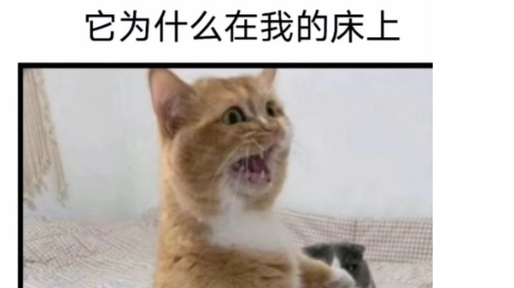 勤奋度的方法!你们应该都知道吧?截图