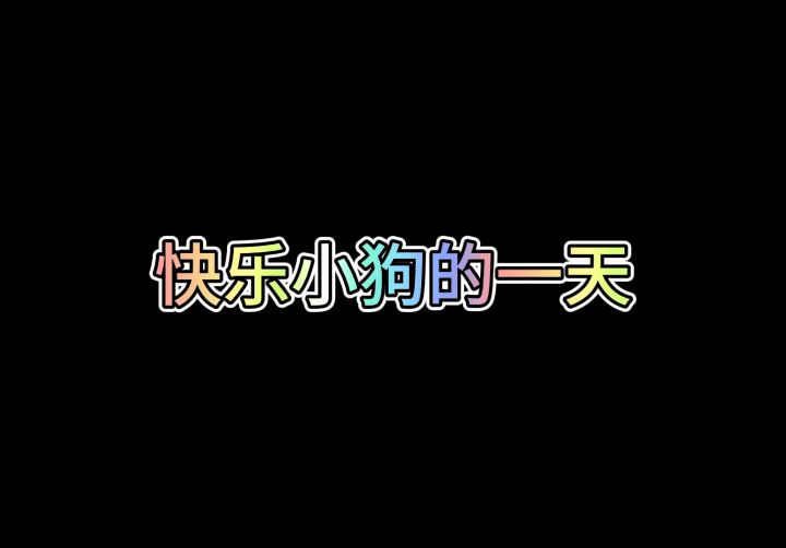 跟麻麻在一起,崽就是世界最快乐的小狗截图