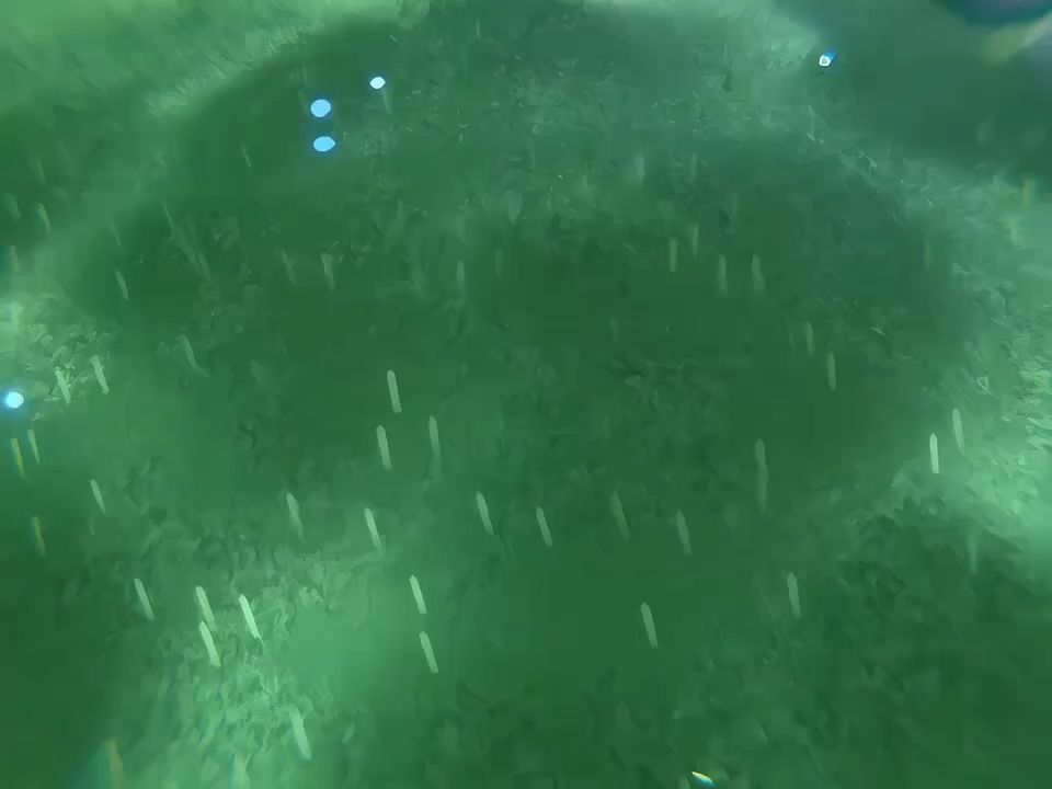 video-5050117