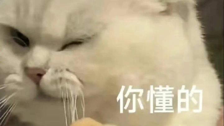 【元气骑士前传S2】旋风领主500层 地剑/白色轰炸?(纪念一下截图