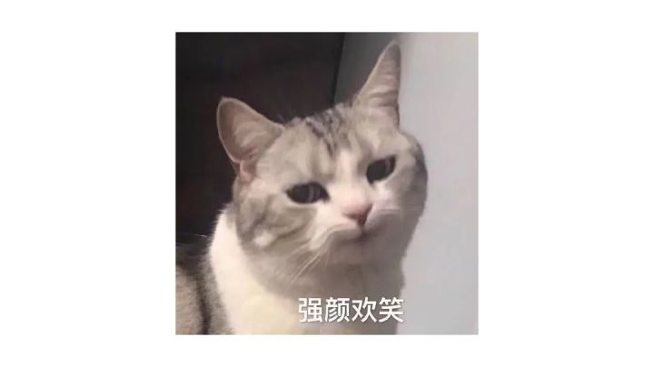 竟然还有人打假,白嫖党何时才能站起来!截图