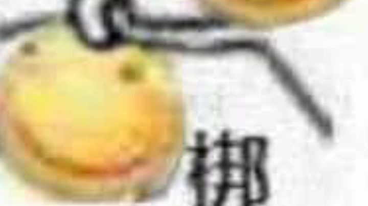 不要在玩射手了😅截图