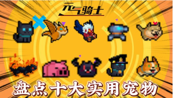 元气骑士:盘点十大实用宠物!截图