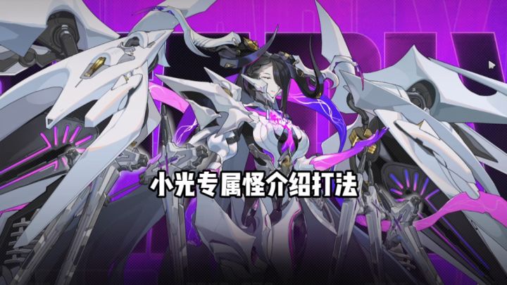 2.5新怪物BOSS打法截图