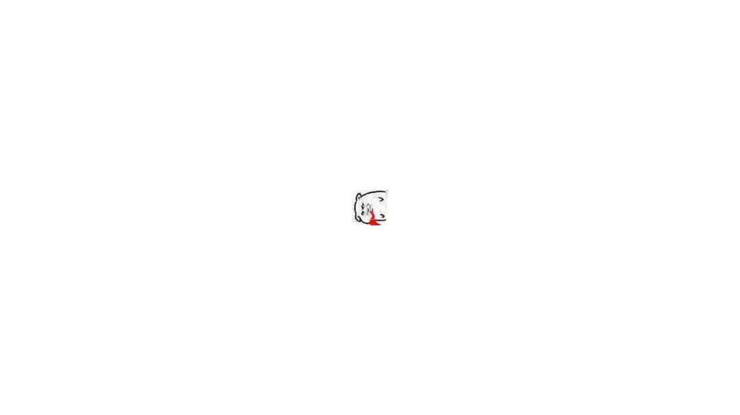 video-3095177