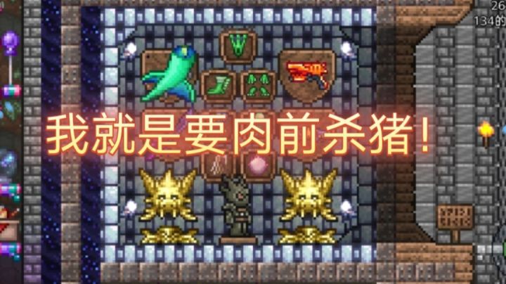 论萌新是怎么肉前杀大师猪鲨的截图