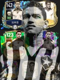 “如蝴蝶穿针，似灵鸟飞舞”——加林查