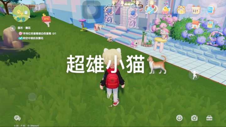 谁懂~我的超雄小猫🐈截图
