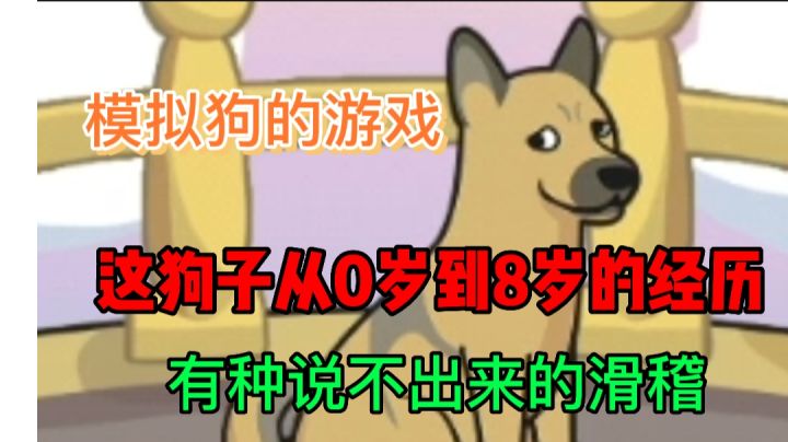 狗子的一生究竟要经历一些什么?#新游观察局#截图