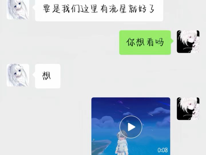 你总说流星划过天空时很亮截图