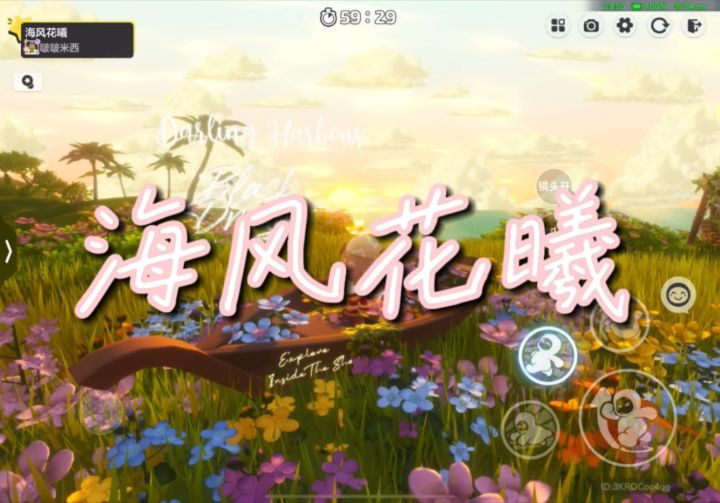 海风花曦截图