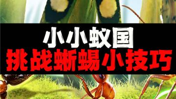 挑战蜥蜴的小技巧