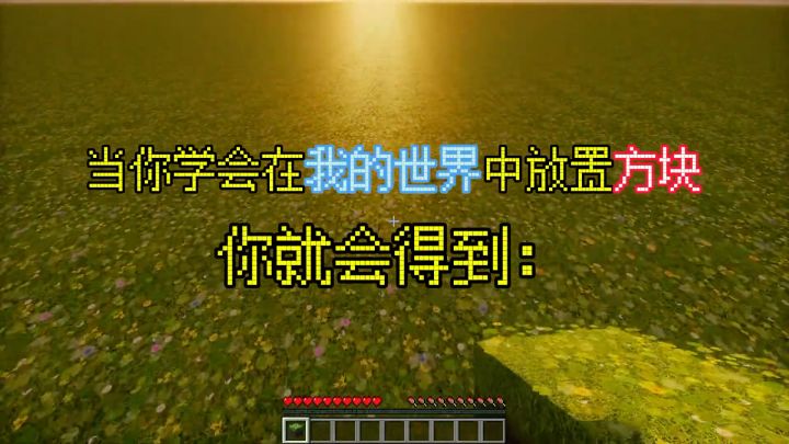 当你学会在我的世界中放置方块,你就会得到:截图