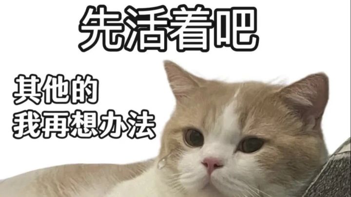沃辛达控制链2(适用于270迅矢一次大都扛不住的)截图