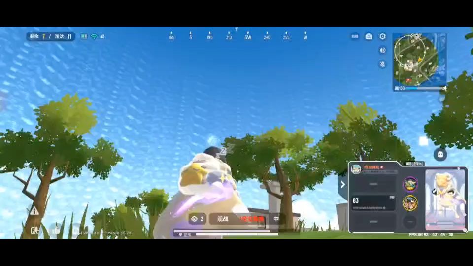 video-3617022