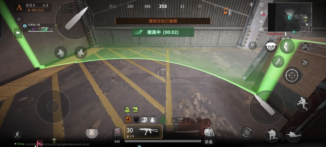 video-4309811