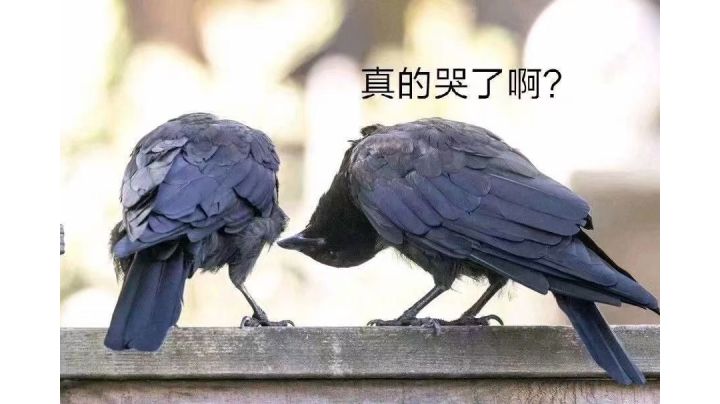 我的天灾也想四阶啊！！截图