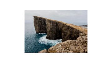 [御兽之王]〓尝鲜新玩法〓