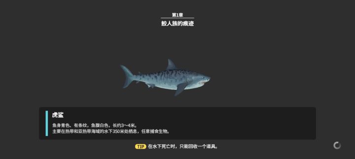 风浪越大鱼越贵截图