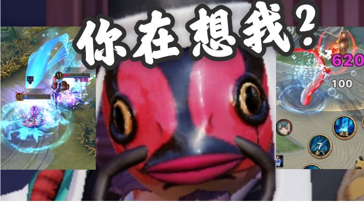 对面梦里都在想海坊主截图
