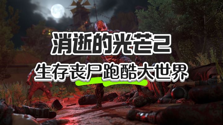 跑酷生存丧尸大世界——消逝的光芒2截图