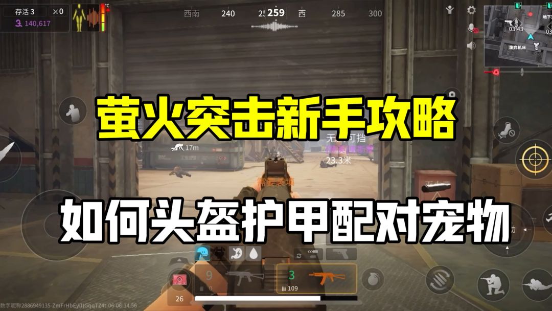 video-4207540