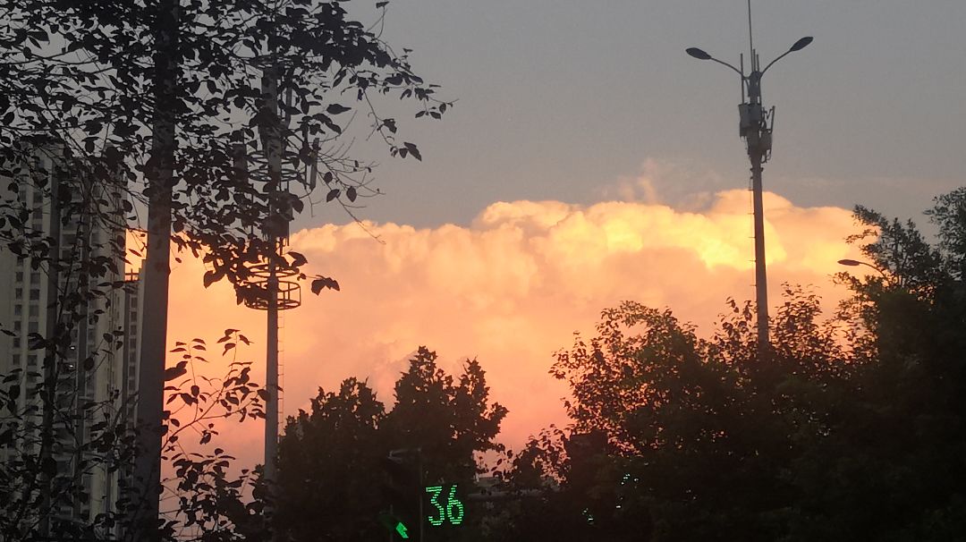 video-2869729
