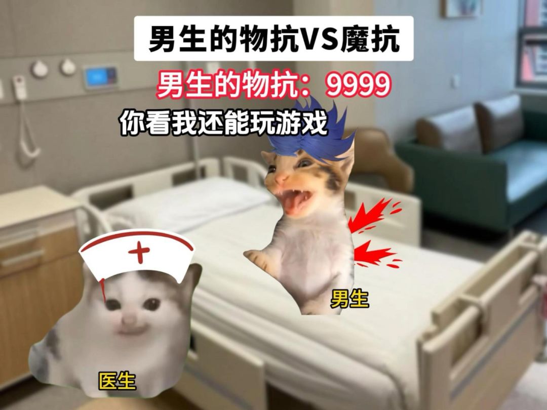 video-5248681