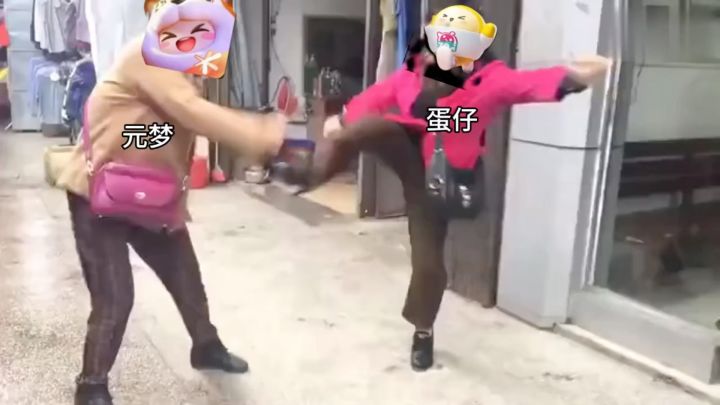 鹅猪又打起来了!截图