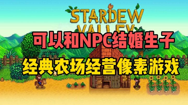 steam移植游戏“绿帽谷”竟可以结婚生娃#我的TOP ONE游戏#截图