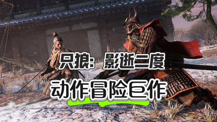 真男人就该玩只狼❗截图