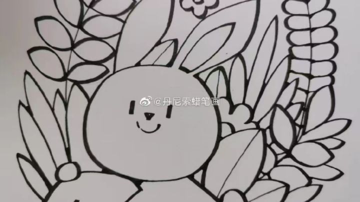 南瓜神教这边是错了截图