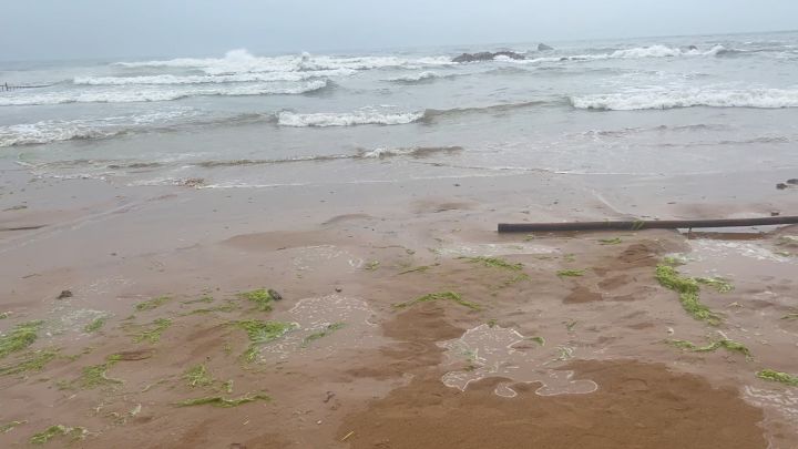 金沙滩截图