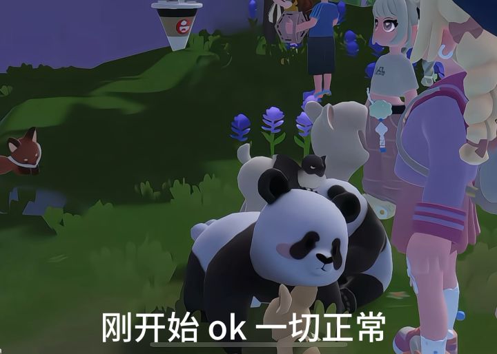 调皮的小熊猫🐼截图