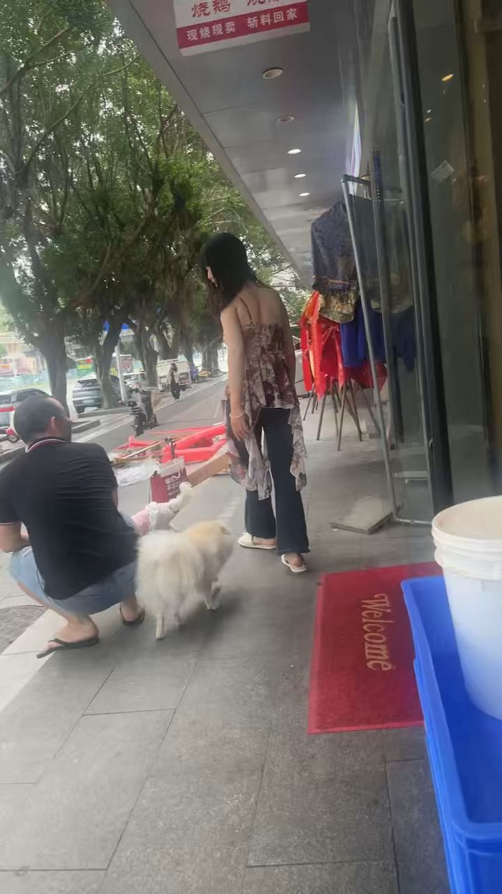 video-5650399