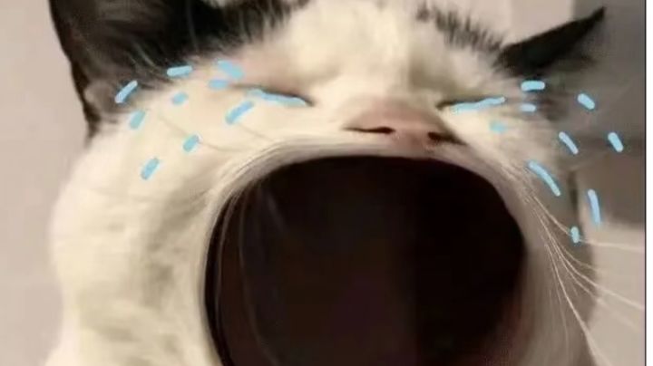 啊~抽完了人鱼公主钱钱都没了，呜呜~😭截图