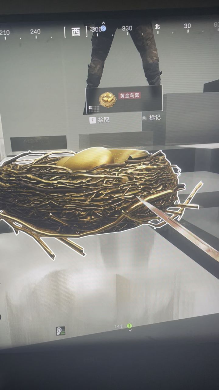 黄金鸟窝截图