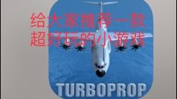 链接是错误的，真实游戏名为TurbopropFlightSimulator截图