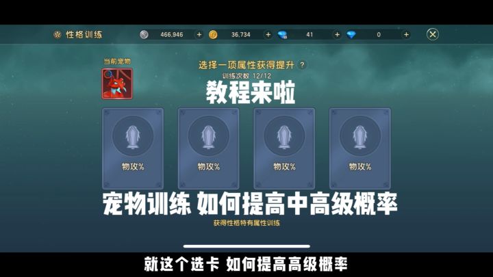 如何提高 宠物训练百分比选卡概率截图