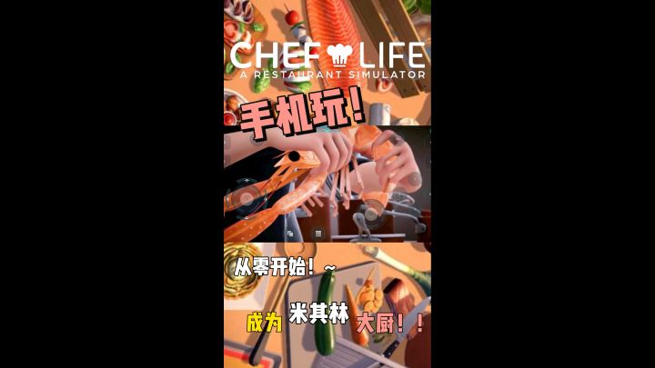 下一任米其林大厨就是你截图