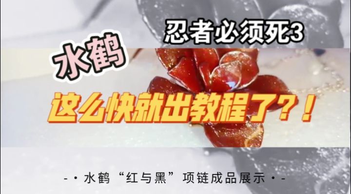 【忍3手工】水鹤“红与黑”项链教程截图