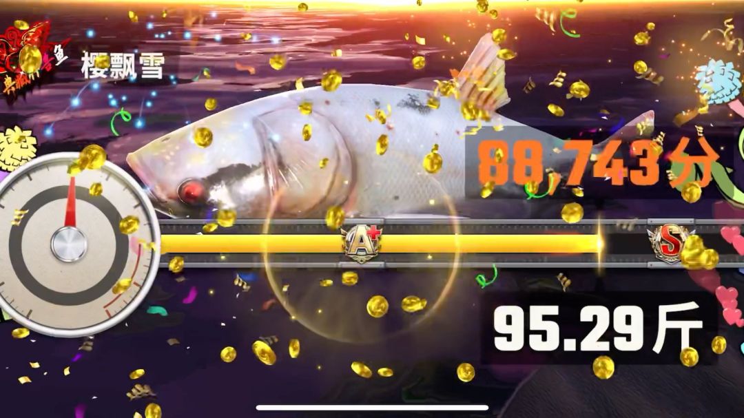 video-4088719