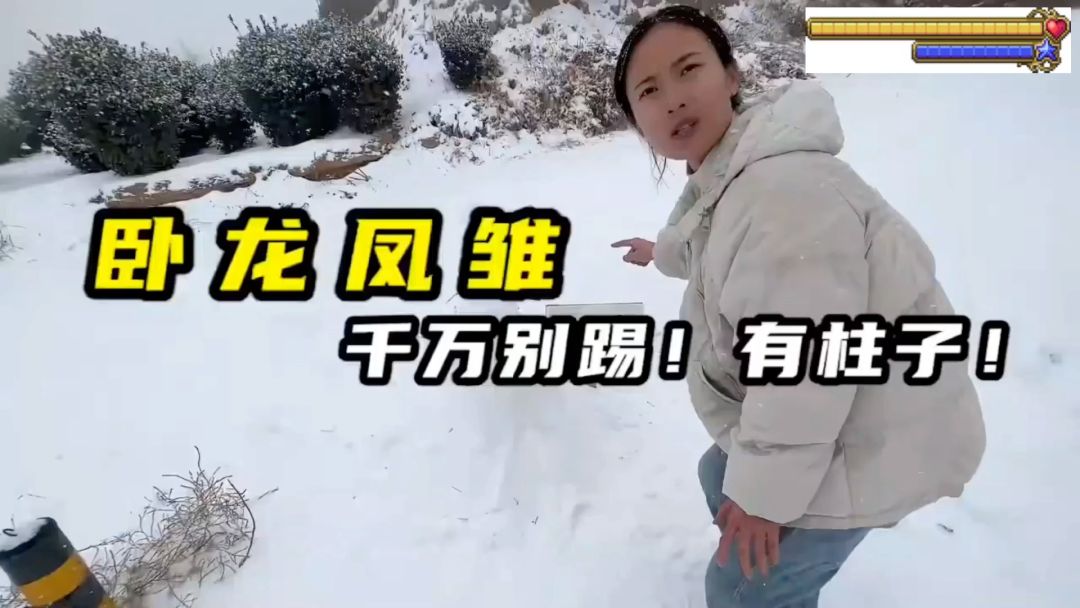 video-4256483