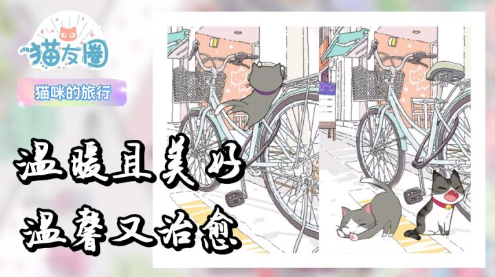 旅行拍照猫友圈,一款温馨且治愈的云养猫模拟器。#新游观察局#截图