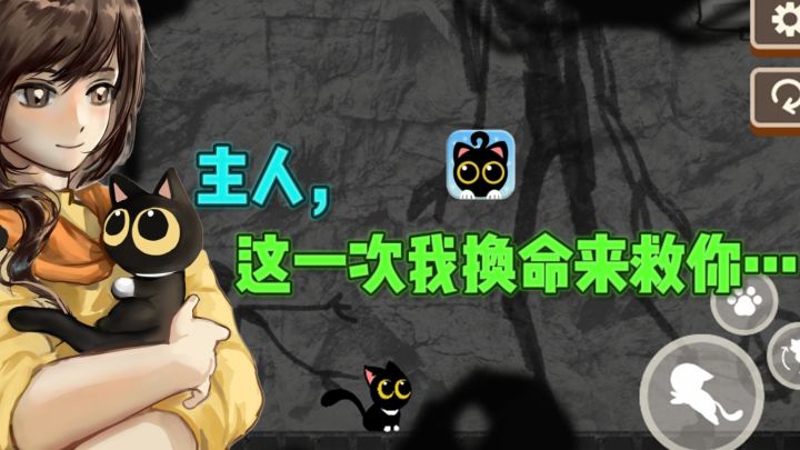 😭九命换一命，喵星人的冥界救赎～截图